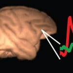 consciousness-brain-wave
