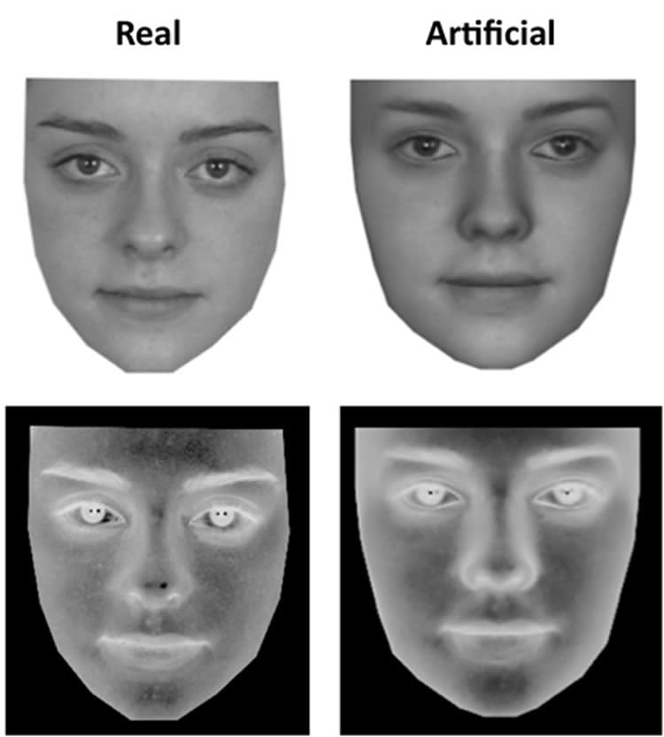 Facial Ambiguity Study Experiment On The Perception