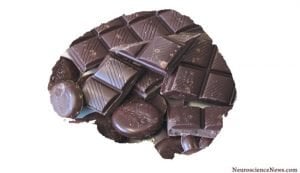 The image shows a brain made out of chocolate. 