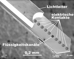 A neural probe is shown.