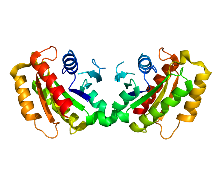 The image shows the structure of protein LRRK2.