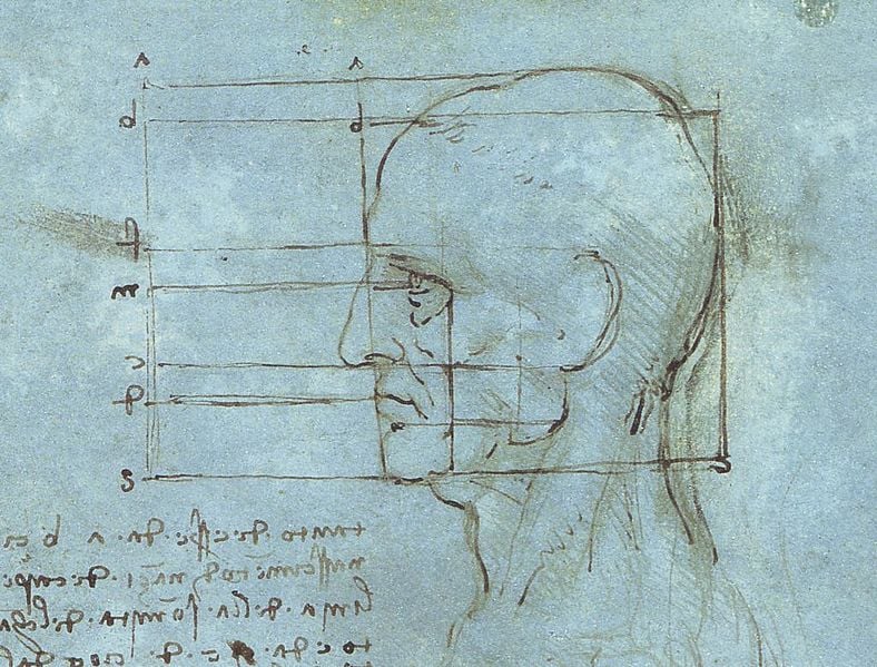 The image is a drawing of Leonardo da Vinci. named proportions of the head.