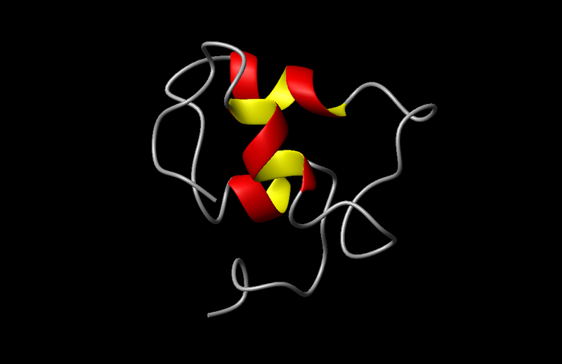 The image shows a 3D schematic structure of IGF-1.