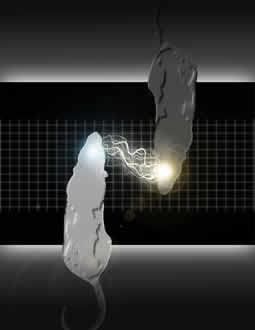 A graphic of two rats with white lights sparking between their heads is shown to depict the BTBI activity.