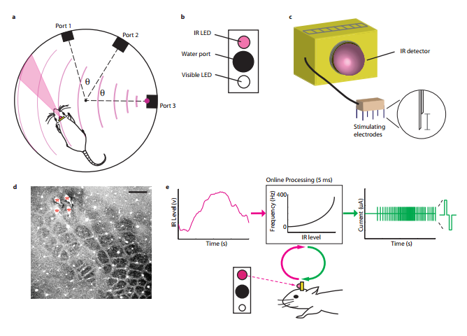 The image shows the set up and output images for this research. The caption best explains the image.