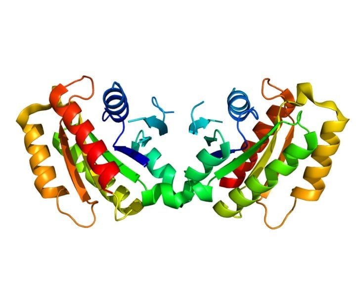 The image shows the structure of the LRRK2 protein.