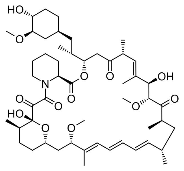 The image shows a structural diagram of rapamycin.