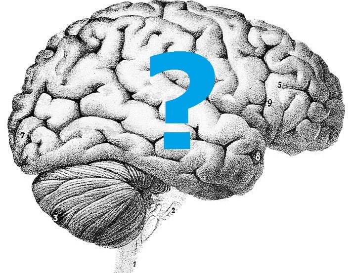 The image shows a drawing of a brain with a blue question mark.