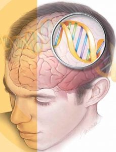 The image shows a dna double helix in a man's head.