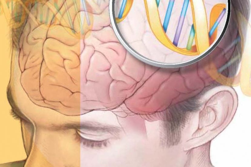 The image shows a dna double helix in a man's head.