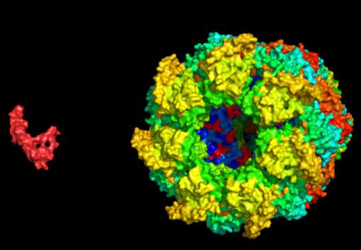 This is an nmr image of beta-amyloid.