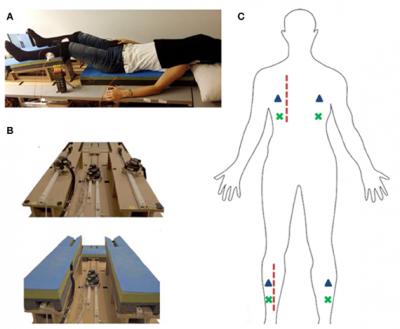 Rubber hand illusion' reveals how the brain understands the body, Neuroscience