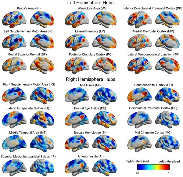 The image shows the hemispheric lateralization maps for the hubs of the brain. The caption best describes the image.