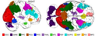 The image shows the eleven areas of the brain identified in the study. The caption best describes the image.