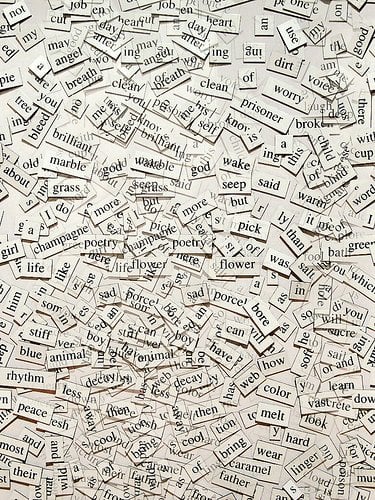 The image shows a collection of words.