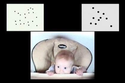 The image shows a baby and the dot screens used in the experiment.