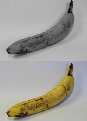 The image shows a banana in color and one in black and white.
