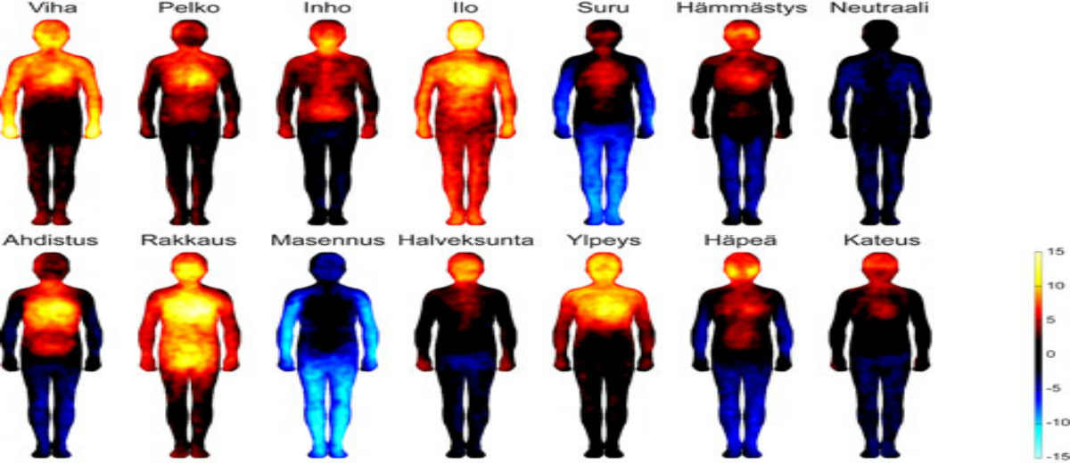Research Team Reveals How Emotions Are Mapped in the Body