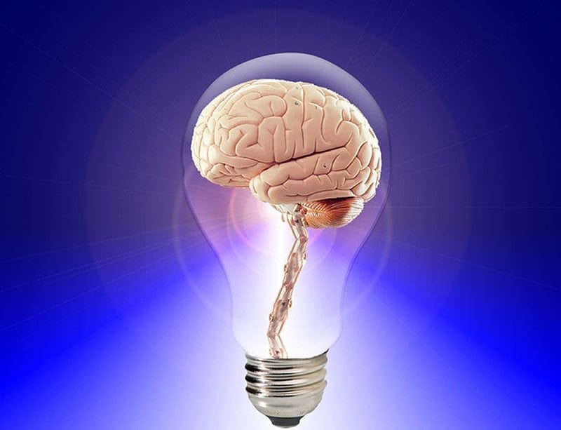 This is a brain inside a light bulb.