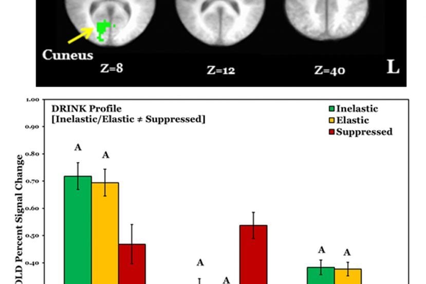 This image shows the fmri and charts from the study.