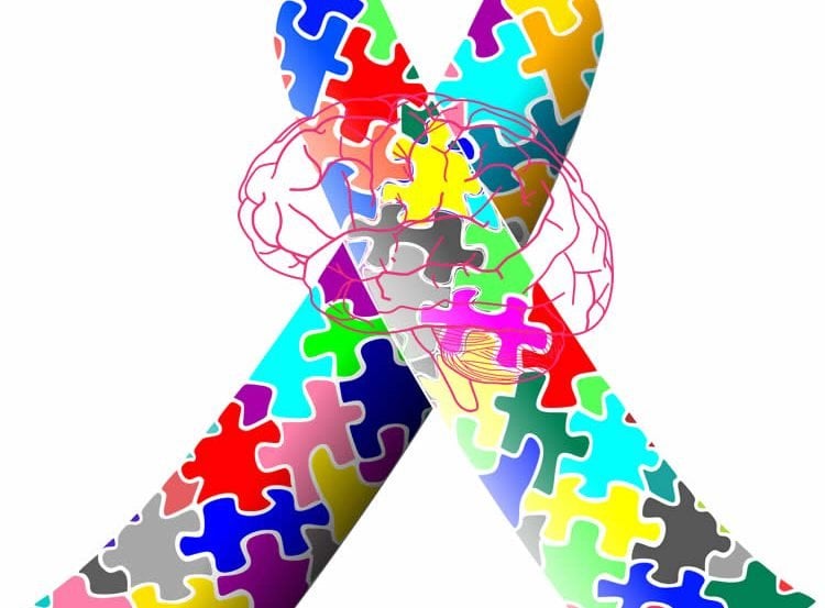 This image shows the autism ribbon and a brain.