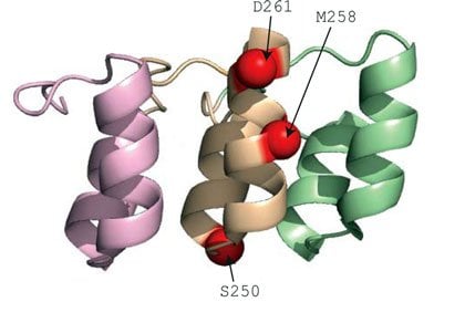 This image shows the different types of receptors. The caption best describes the image.