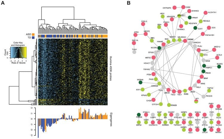 This image methylation values of GCs.