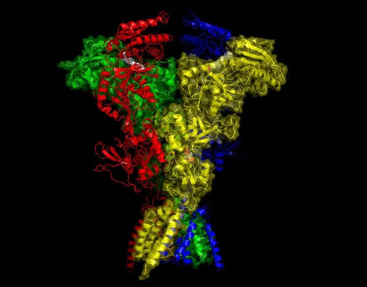 The image shows the structure of the NMDA receptor.