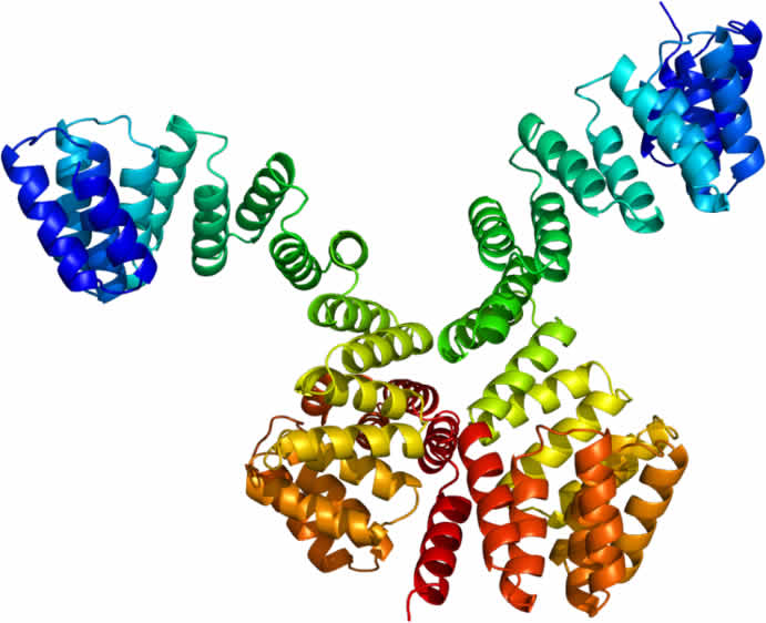 The image shows the structure of the OGT protein.