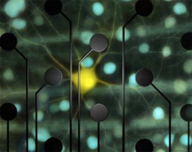This image shows a representation of the electrodes over neurons.