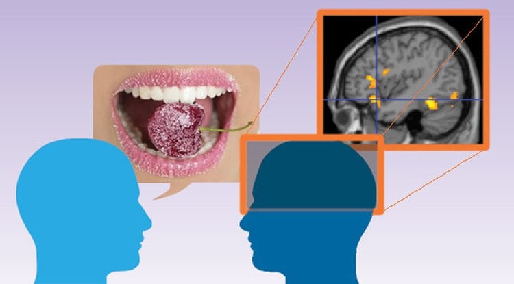 This image shows a person eating a sweet, an FMRI brai scan and two outlines of heads. The caption best describes the image.