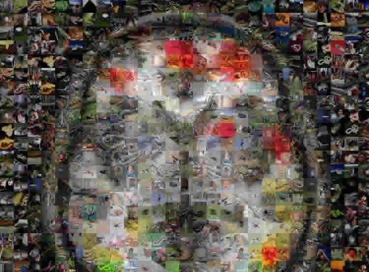 The image shows a brain made out of a murel of images.