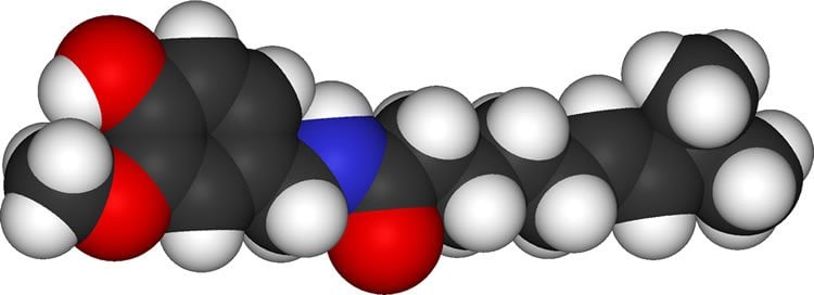 The image is a 3D representation of a capsaicin molecule.