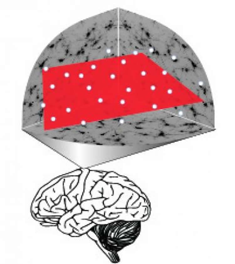 this image shows the brain with a red box inside it.
