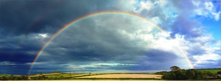 The image shows a rainbow over a field.