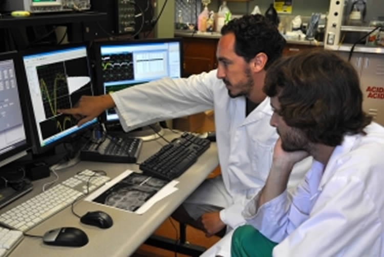 Important Advance In Brain Mapping And Memory Neuroscience News Important Advance In Brain Mapping And Memory Neuroscience News