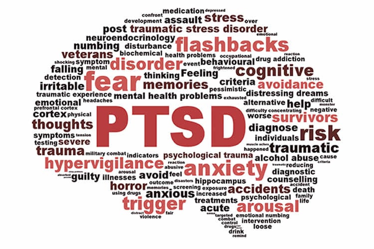 This image shows words associated with PTSD arranged in the shape of a brain.