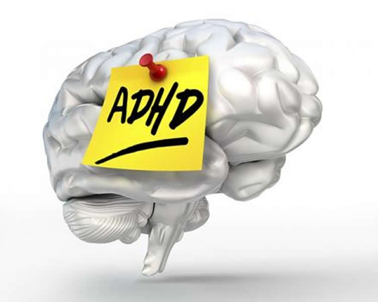 The image shows a brain with a post it note on it. The note reads ADHD.