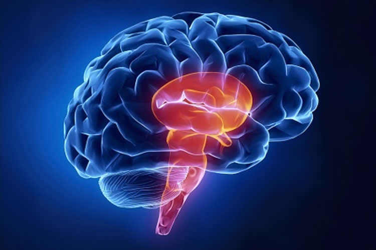 The image shows a brain on a blue background.
