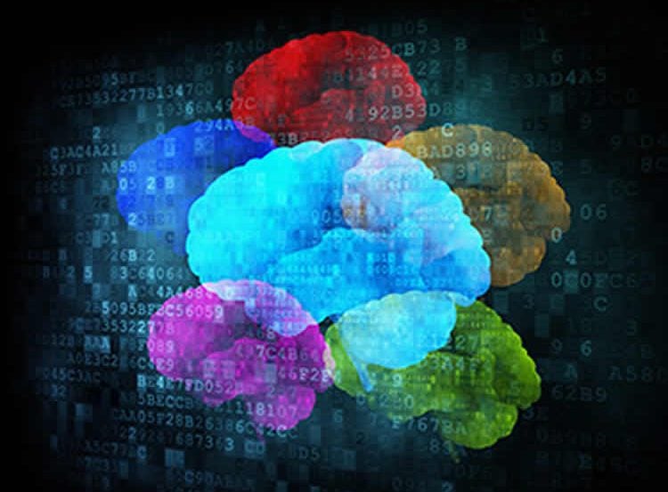 The image shows multiple colored brains and computer coding.