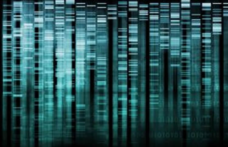 This image shows a representation of DNA sequencing.