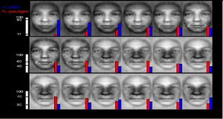 This image shows the computer generated faces mentioned in the press release.