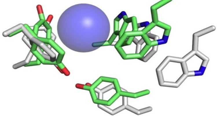 The image is a diagram representation of acetylcholine receptors.