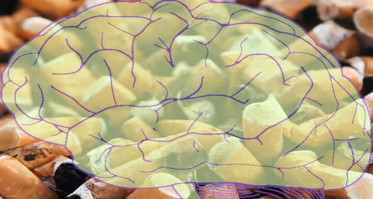 he image shows stubbed out cigarette ends in the background and a yellow and purple drawing of a brain in the front.