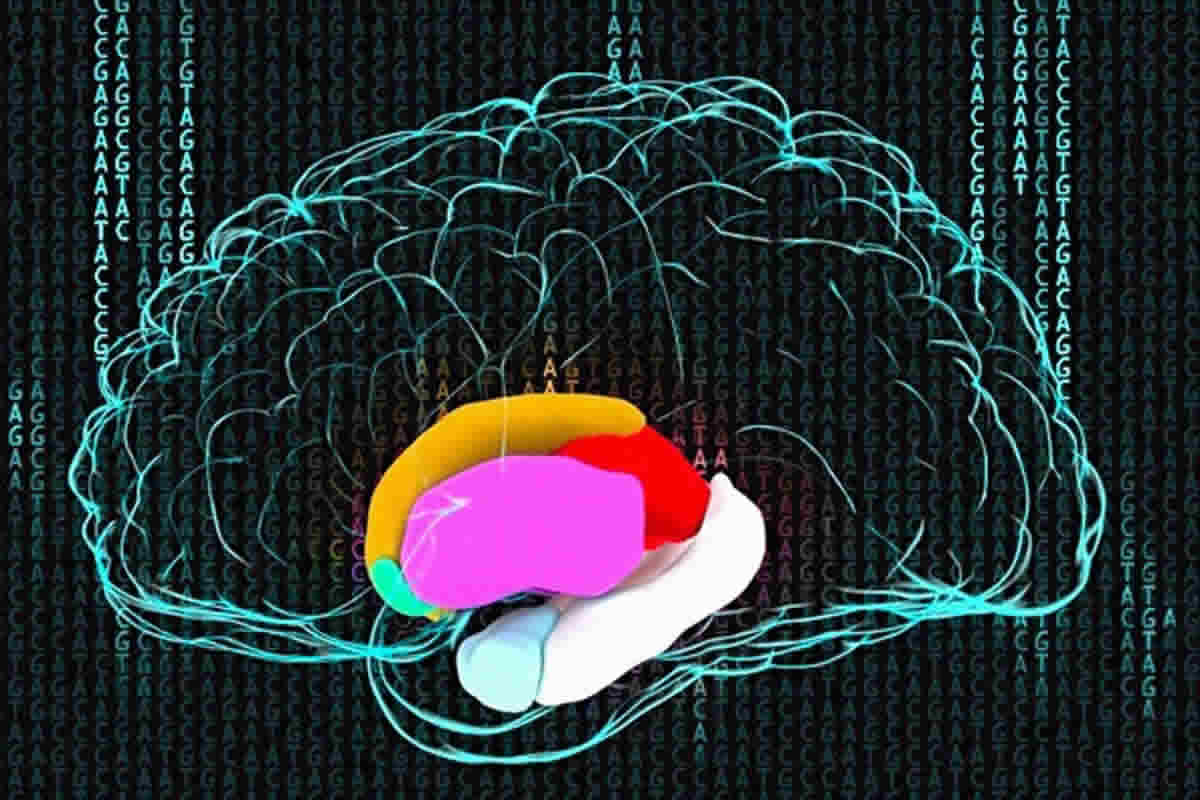 This image shows a drawing of a brain against a background made up on GATC code.