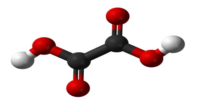 This image shows a ball and stick model of the oxalic acid molecule.