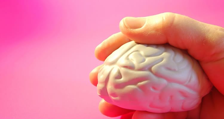 This image shows a person holding a brain toy.