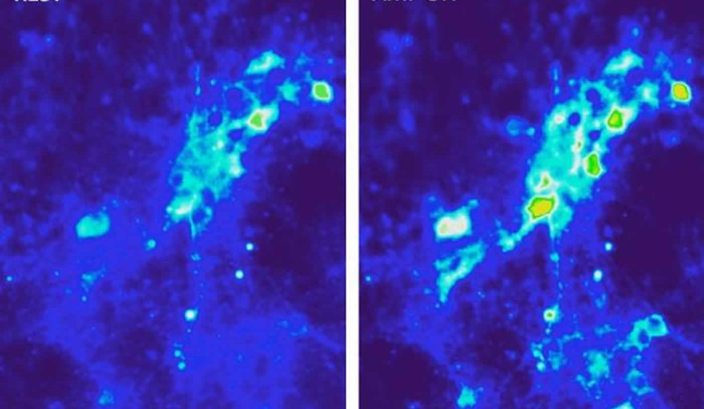 Images show calcium ion influx into neurons.