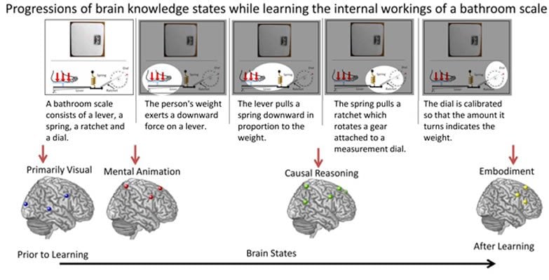 Images shows the progression of brain knowledge states as it learns a technical process.