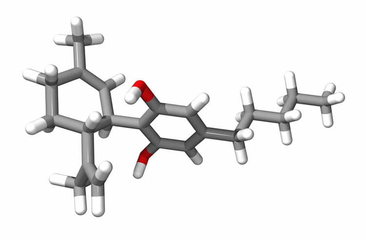 This is a 3D model of the molecular structure of cannabidiol.